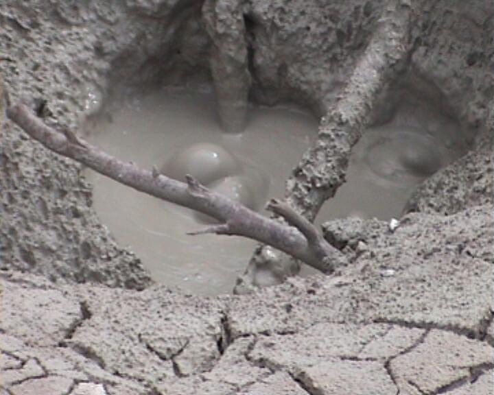 Mud Pot - ein brodelndes Schlammbecken