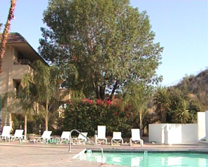 Hotelpool in Palm Springs
